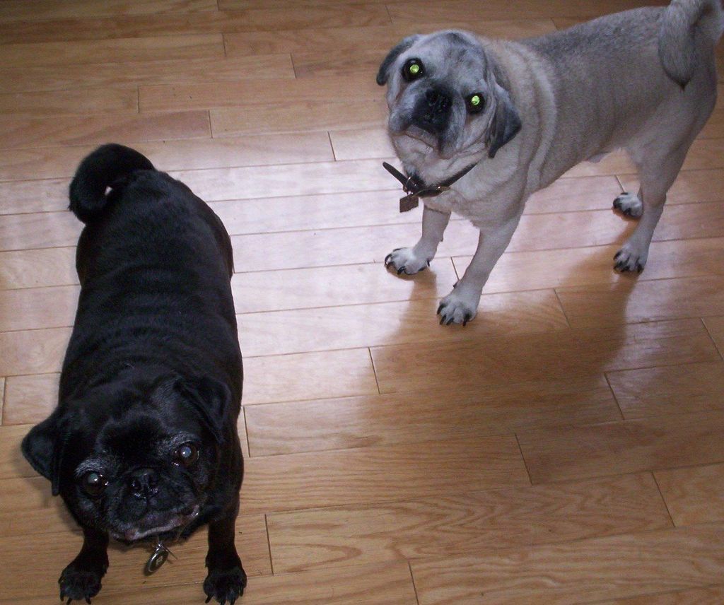 Milo and Bettie