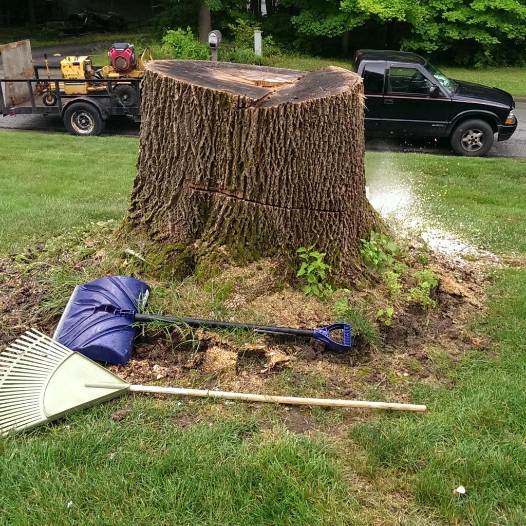 Jessie's Stump Removal