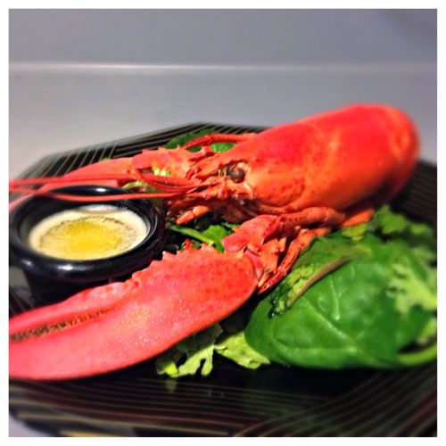 Fresh lobster with parmesan garlic butter sauce ov