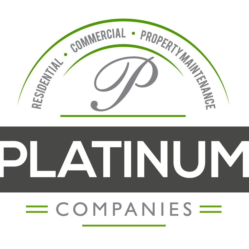 Platinum Companies, Inc.