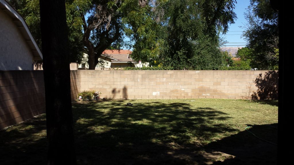 Looking out of one of our clean windows.