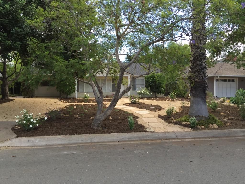 Water Wise Landscape Design and Installation in Sa
