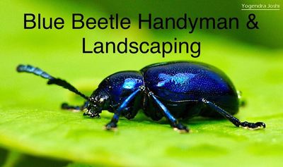 Avatar for Blue Beetle Handyman & Landscaping