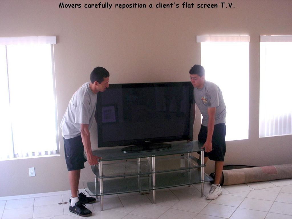 Professional movers
