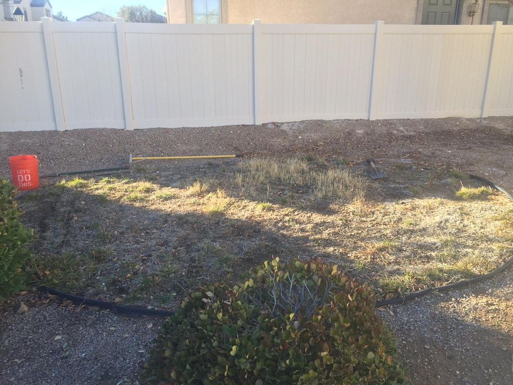 old ugly grass(before)