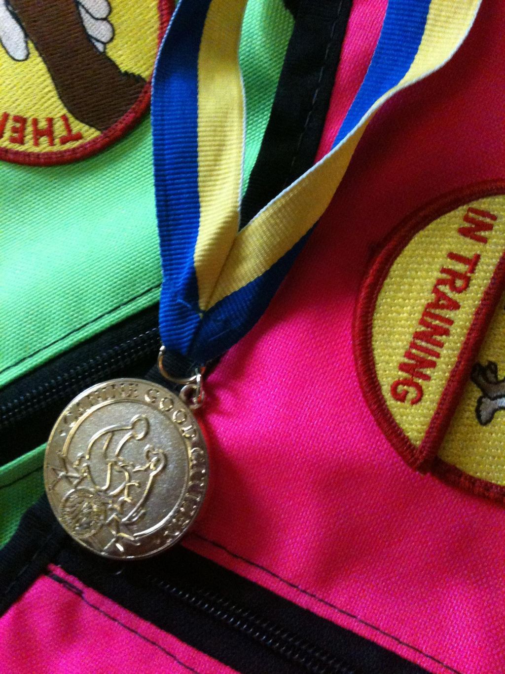Titles - Canine Good Citizen, Advanced Canine Good