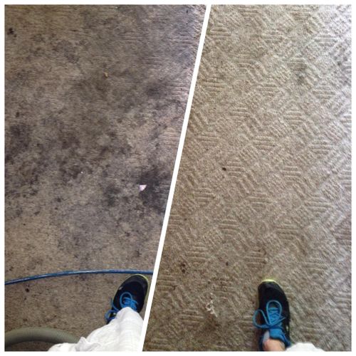 Before and after shot on 20 year old carpet