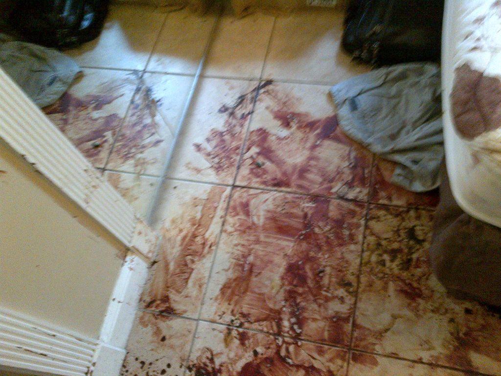 Trauma Scene BEFORE Cleanup