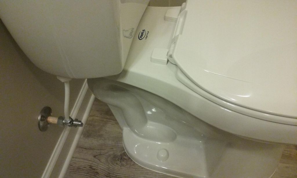 I clean, bleach and sanitize the entire toilet inc