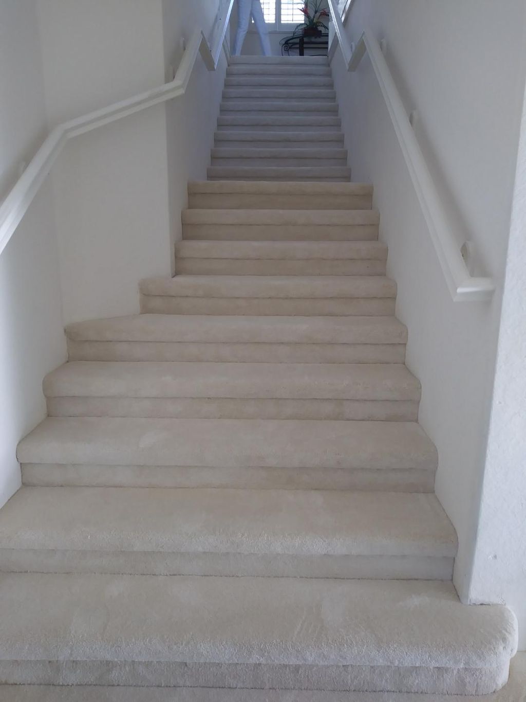 Tony Rile jr 2397844136