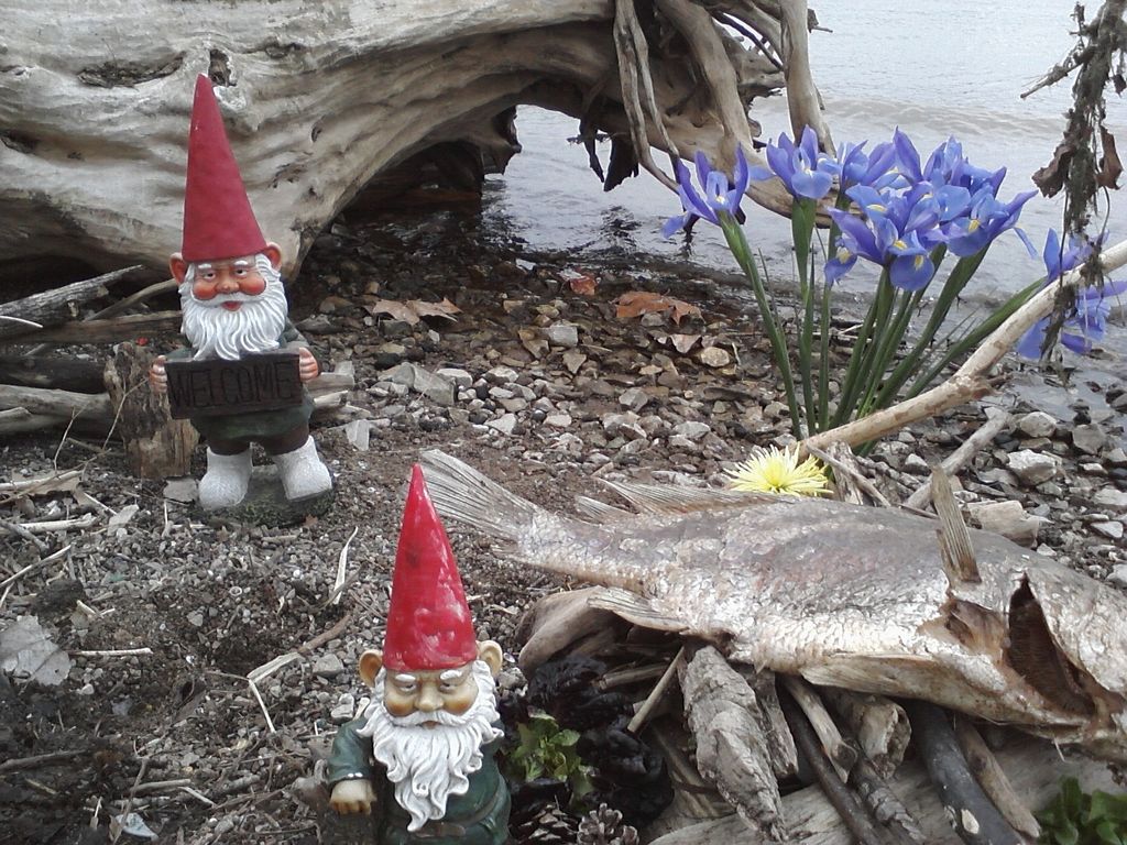 How long does it take 2 average garden gnomes to p