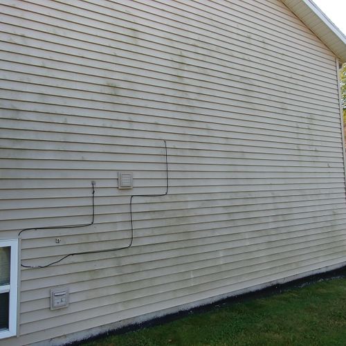 Siding covered in algae and dirt