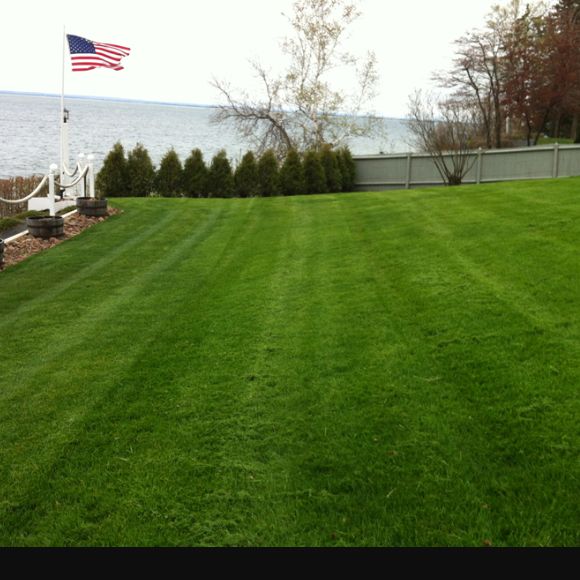 Simple Scapes Lawn Care
