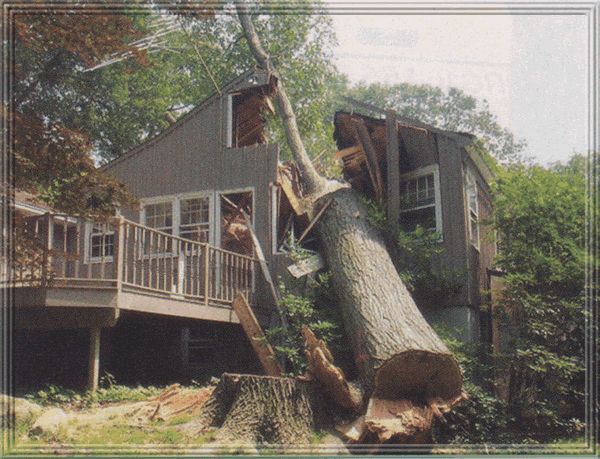 Don`t wait till this happens.