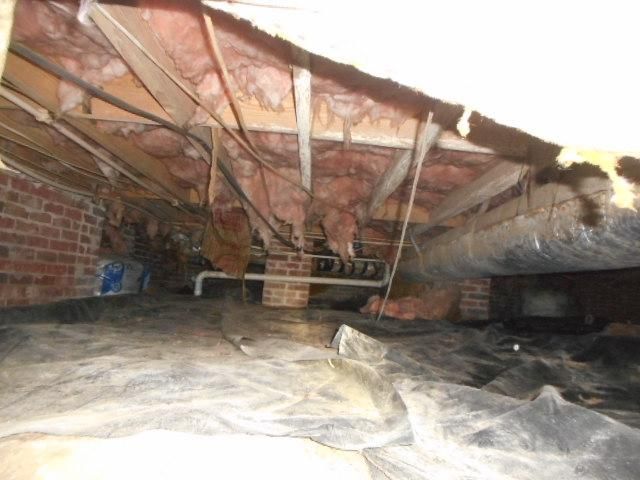 We go under the home