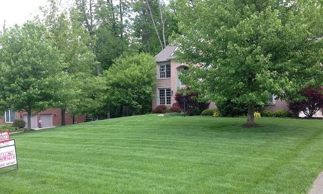 Lawn Care