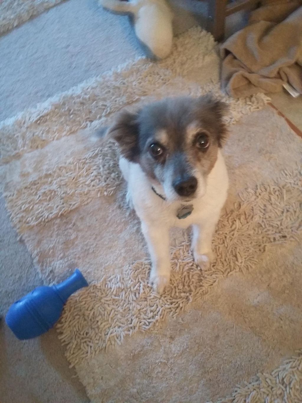 Maggie