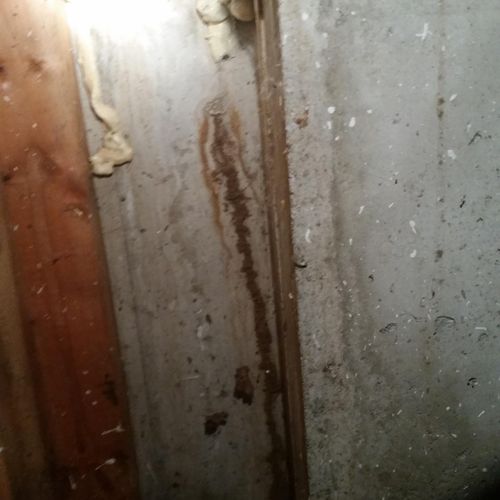 Found termites under a front stoop