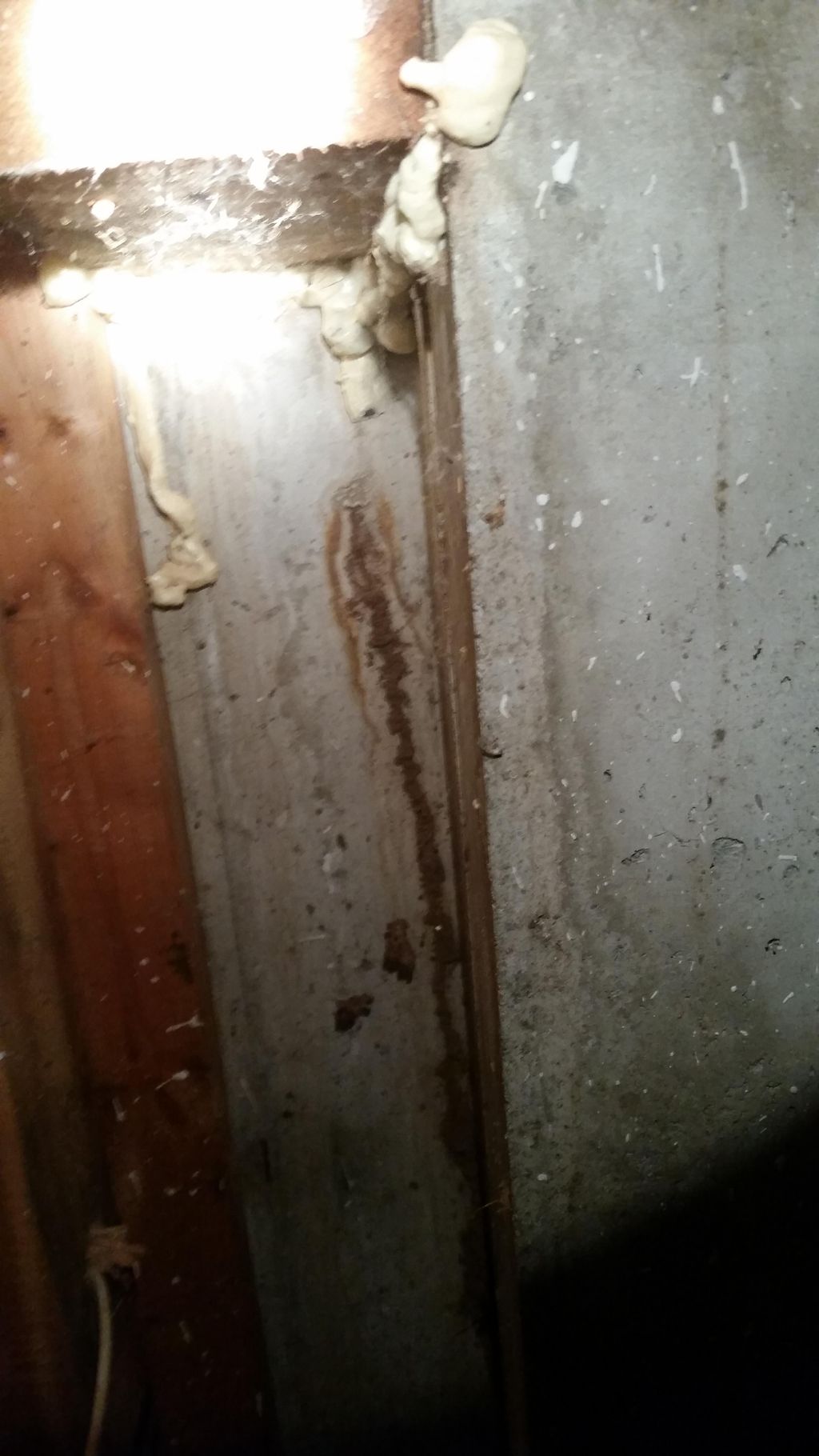 Found termites under a front stoop