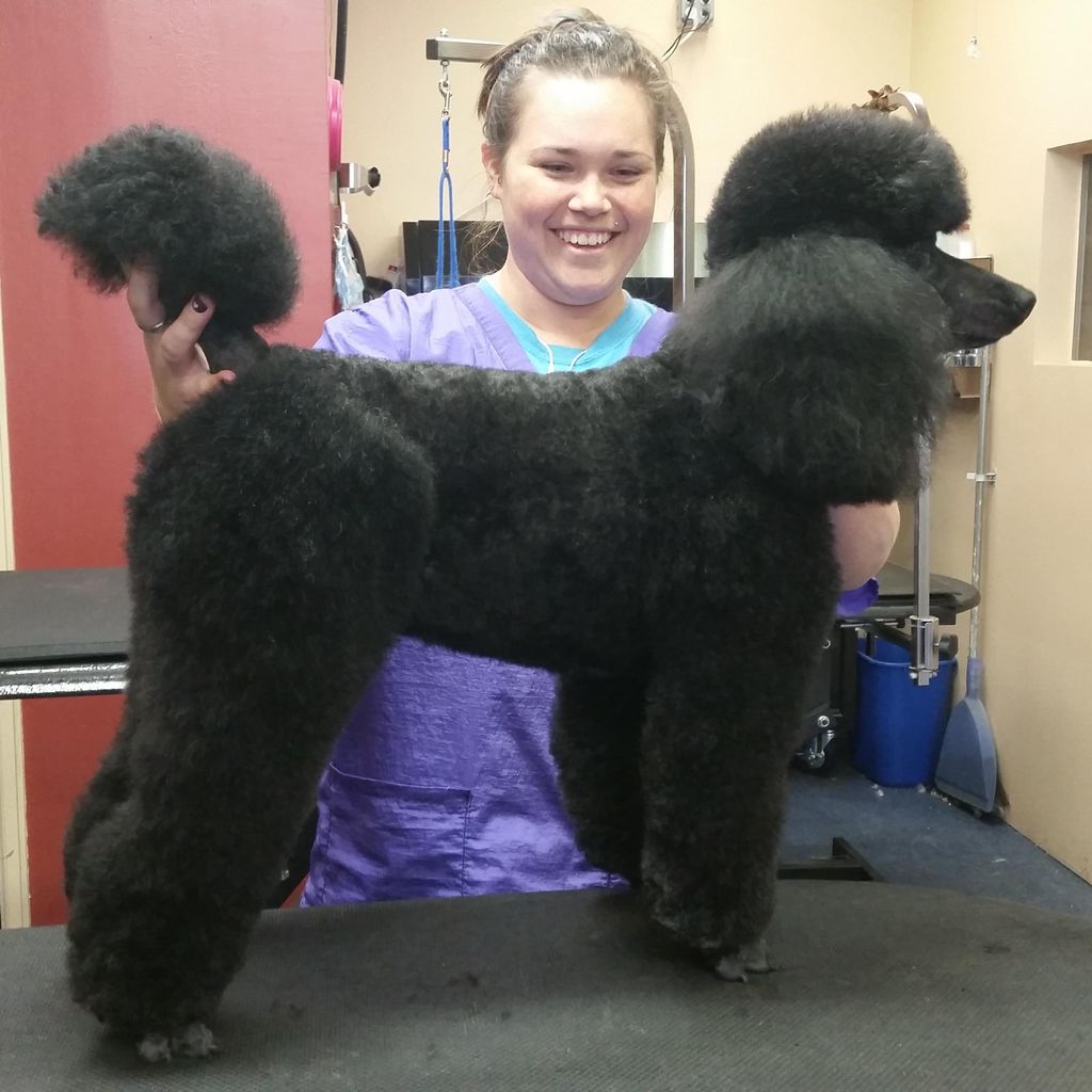 Sara's Pet Grooming and Dog Training