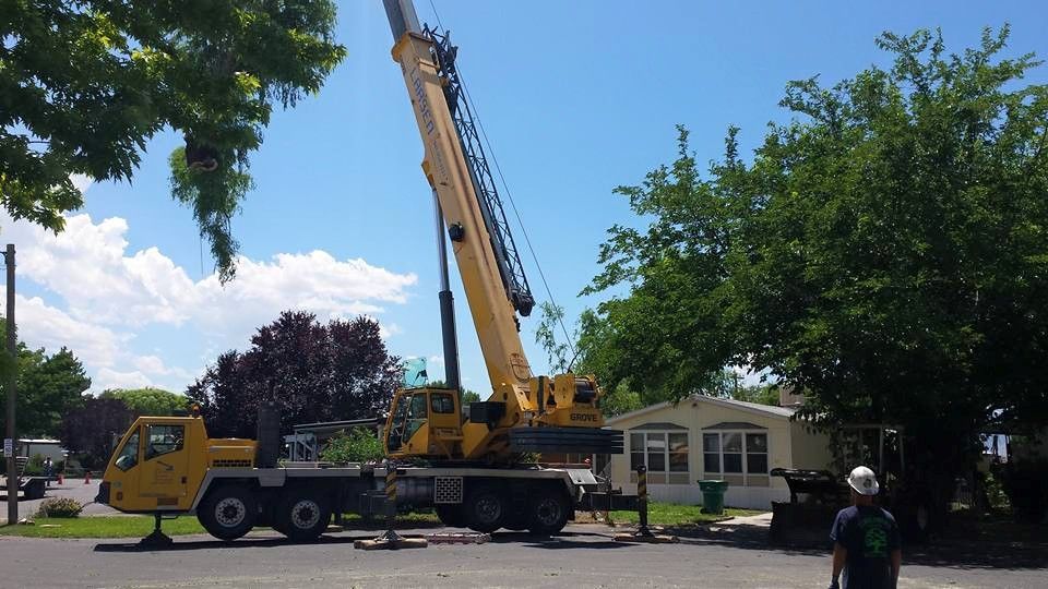 We are experienced in crane removals