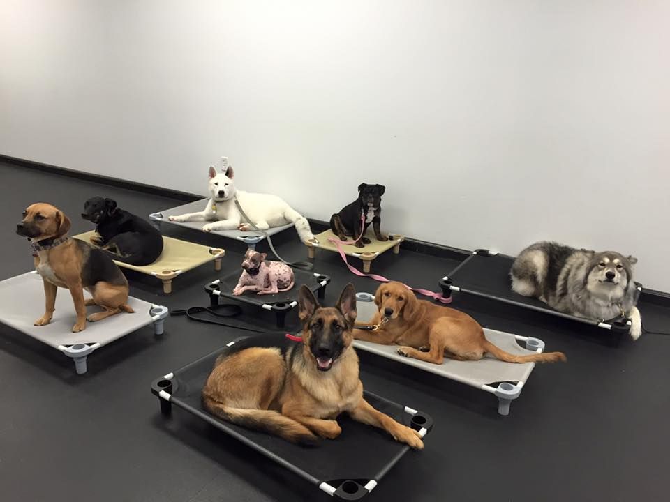 Group "place" commands