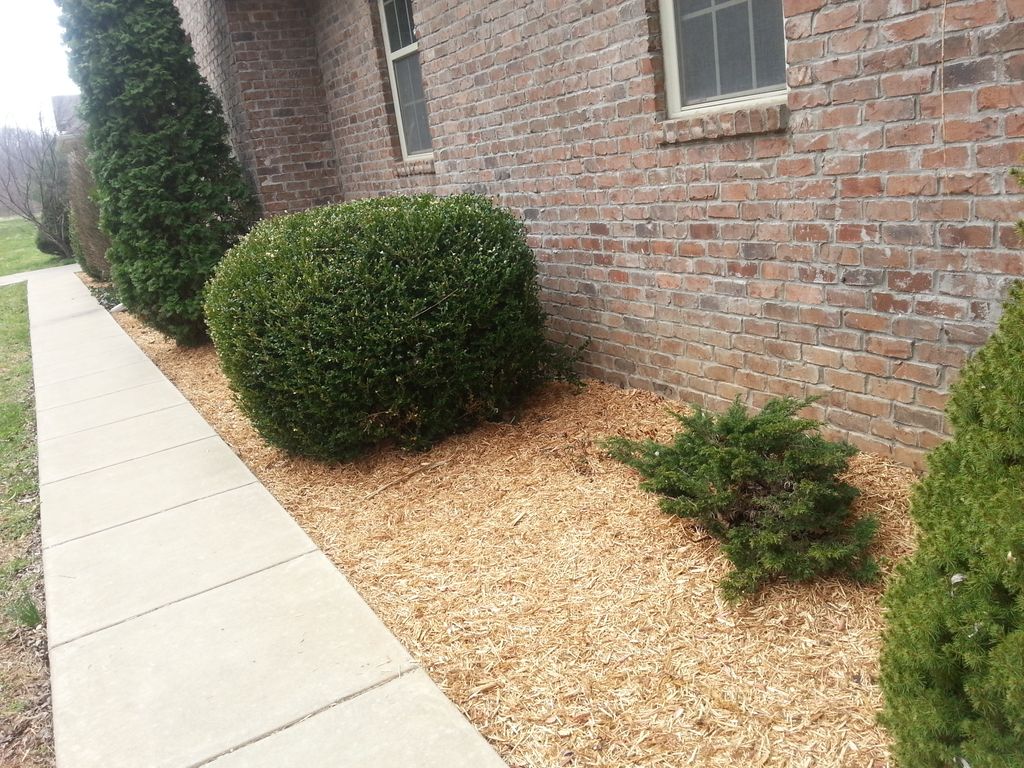 Mulch Application