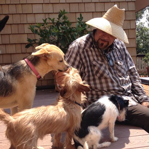Frank with Lily, Gretta, Winston and Lucy
