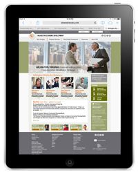 Website design for Arlington Virginia Business dev