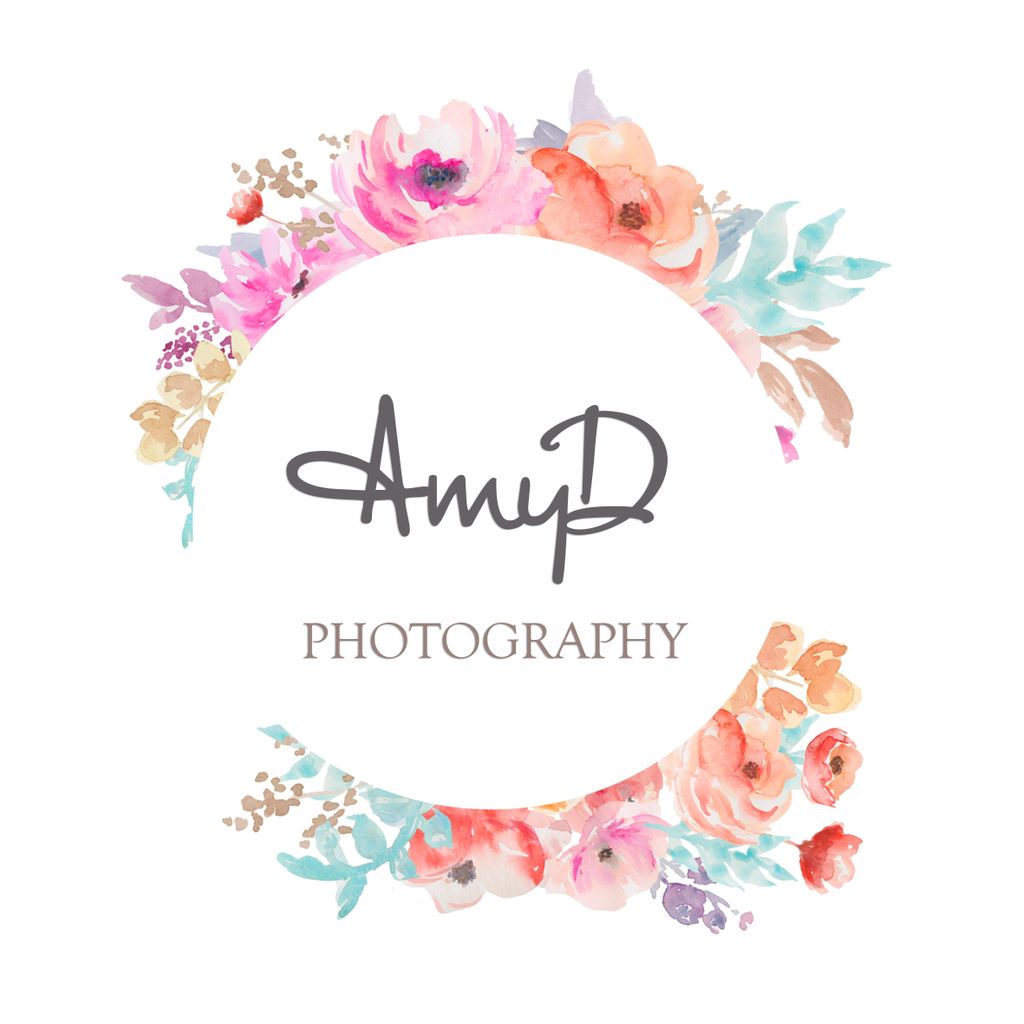 Amy D Photography