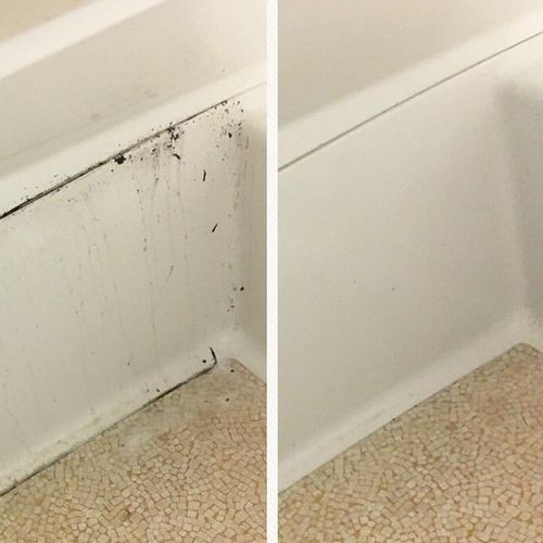 We tackle mold & mildew like nobody's business!