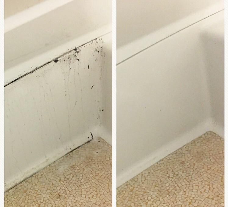 We tackle mold & mildew like nobody's business!