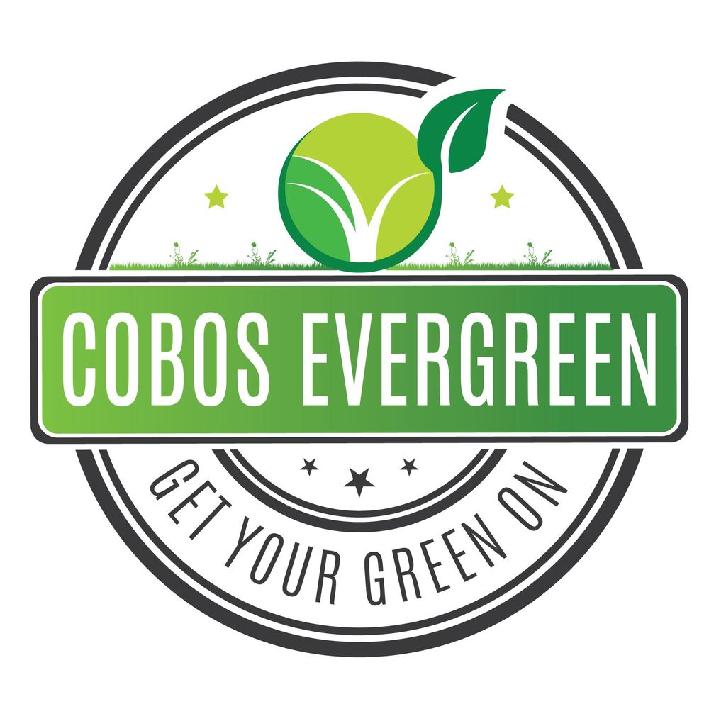 Cobos Evergreen