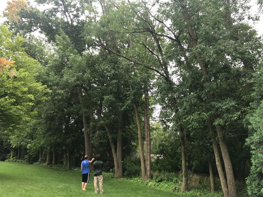 Talking with a client, explaining options for his 