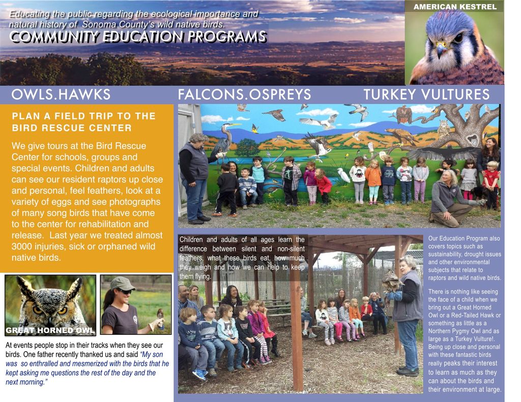 Brochure BRC, front trifold