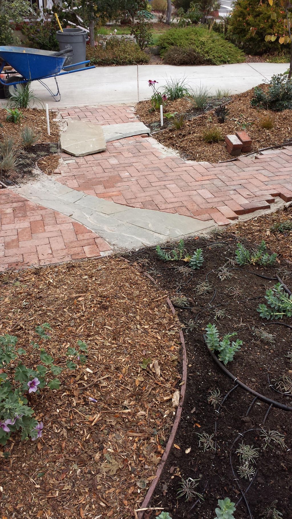 The build of a unique front pathway in Albany, CA