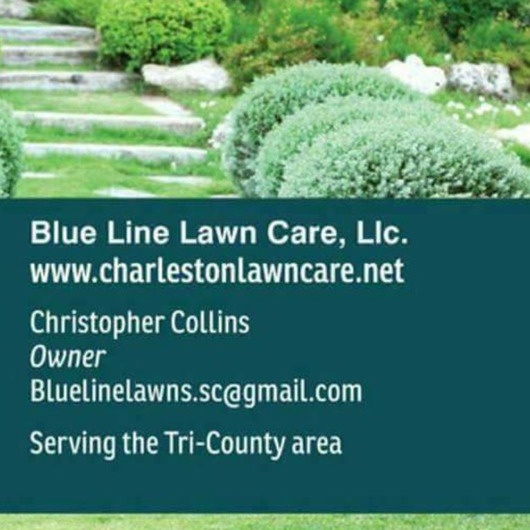 Blue Line Lawn Care Llc.