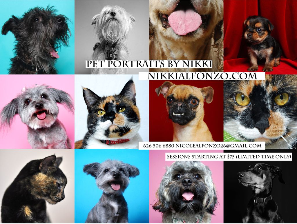Pet photography by me! I offer affordable pet phot