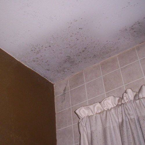 Mold in bathroom