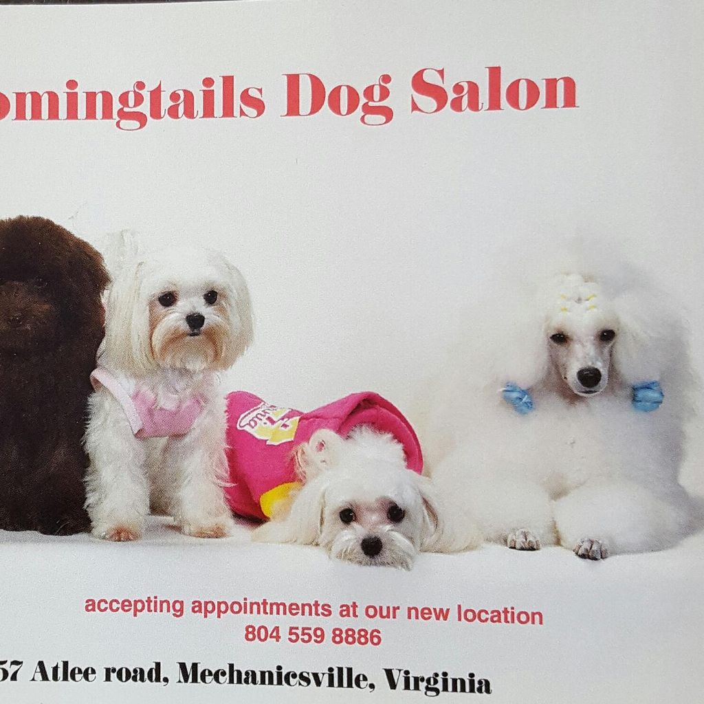 Bloomingtails dog salon