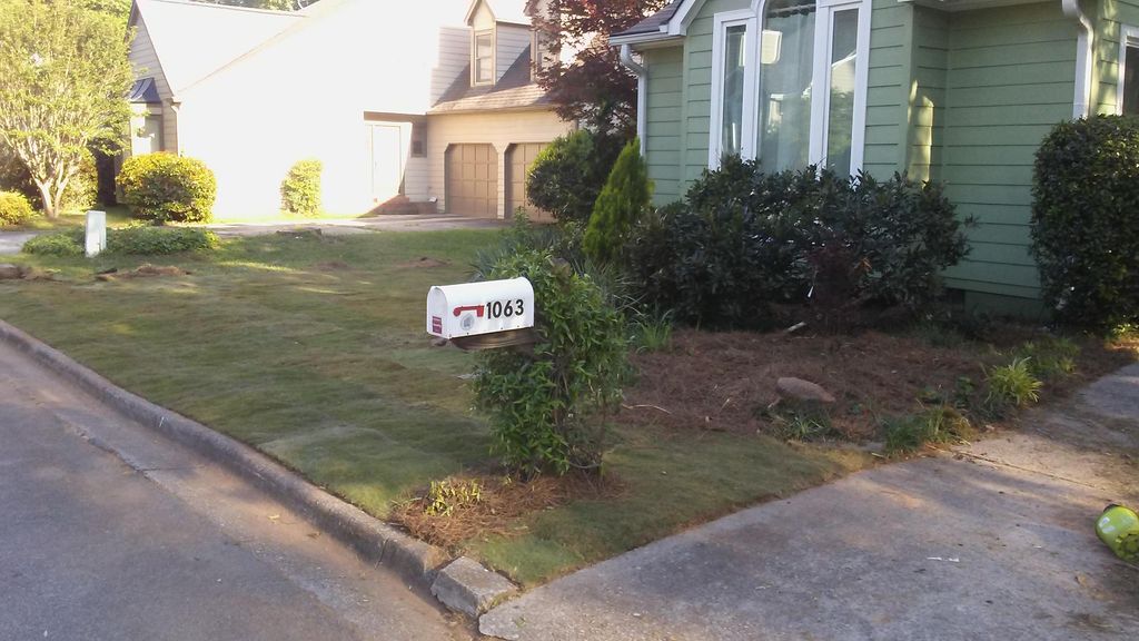 New sod anf plant bed construction 