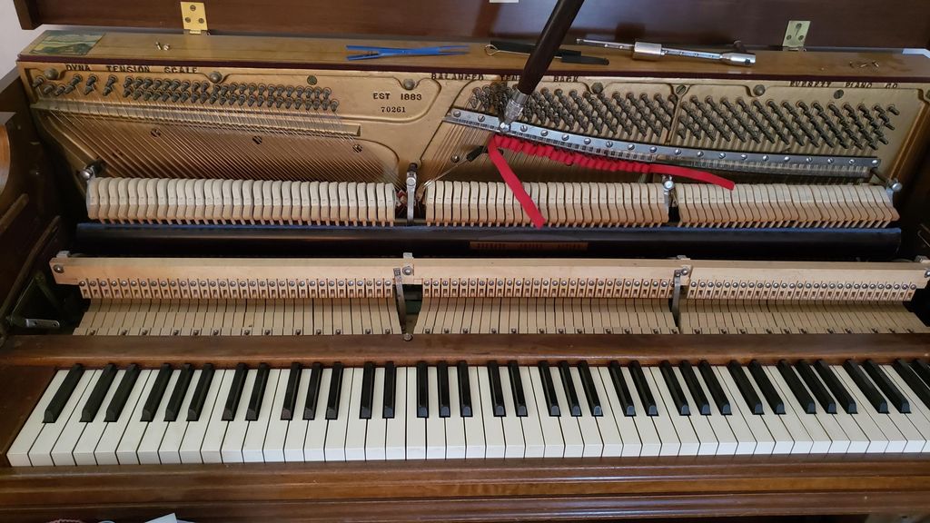 Temperament tuning setup.