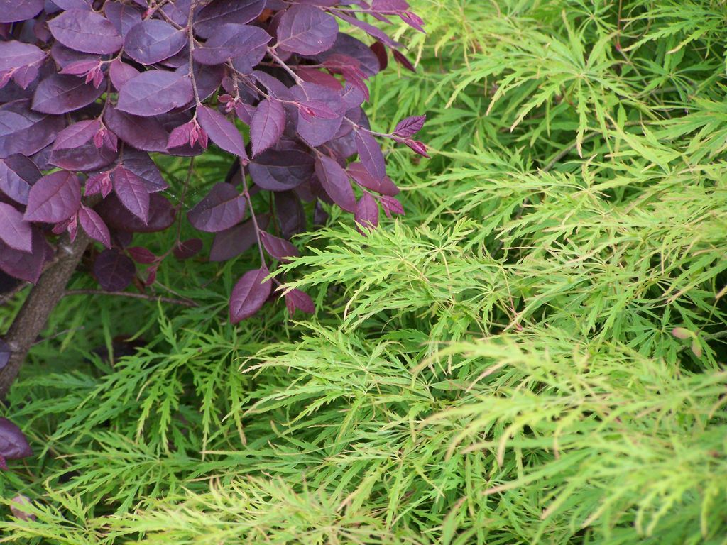 Texture, color and contrast. A year long cycle of 