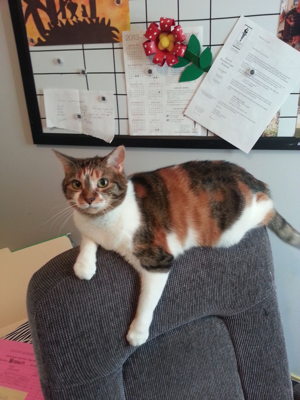 Ella helping me do paperwork.