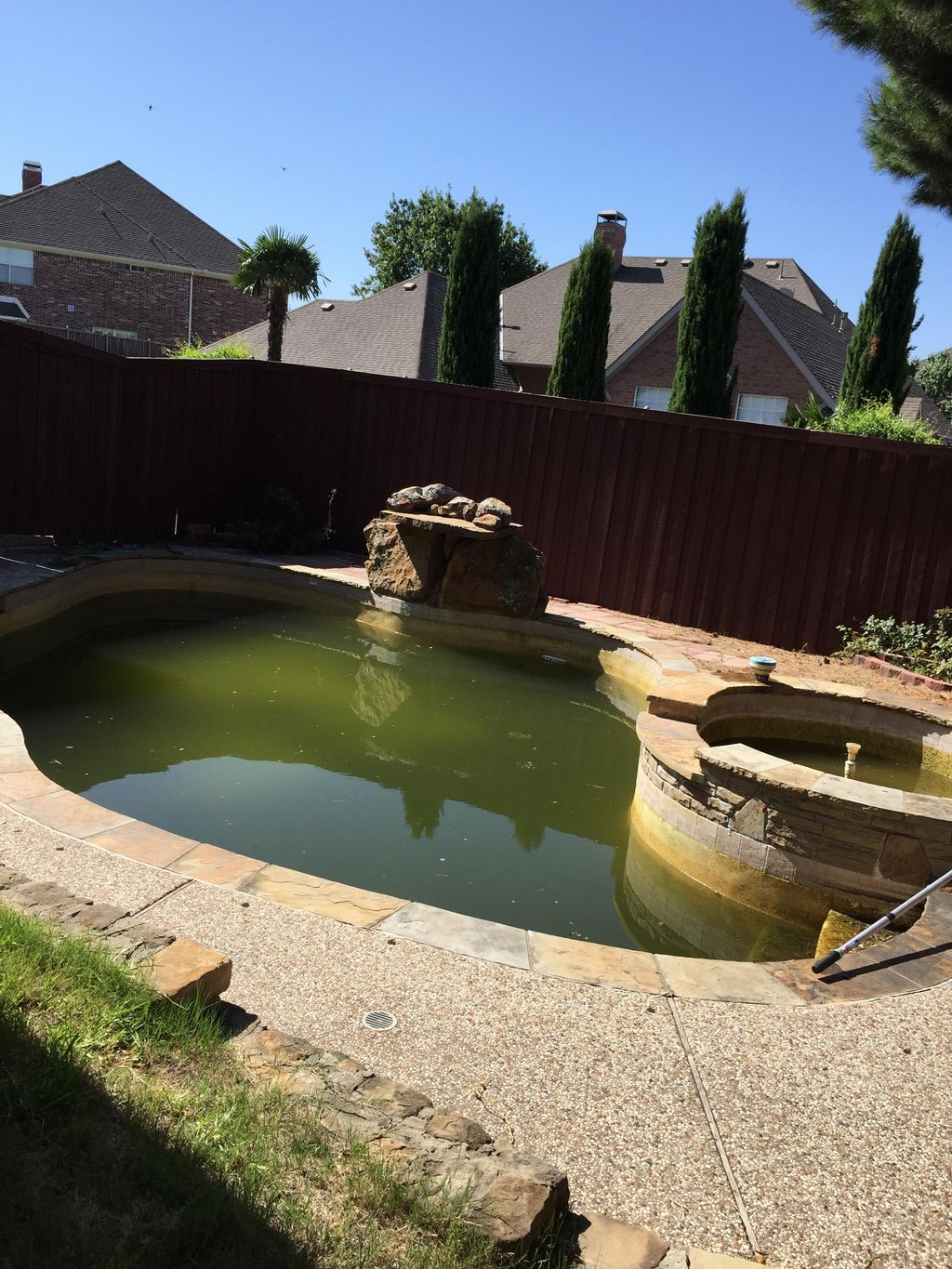 green pool full of slime and leaves
