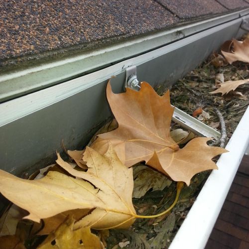 Spring gutter cleaning