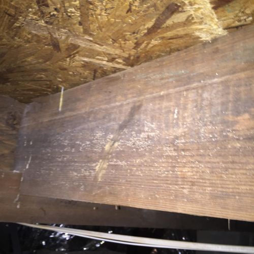 Crawl space with mold, see the black smudge.