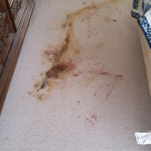 Carpet cleaning before pic  stain removal