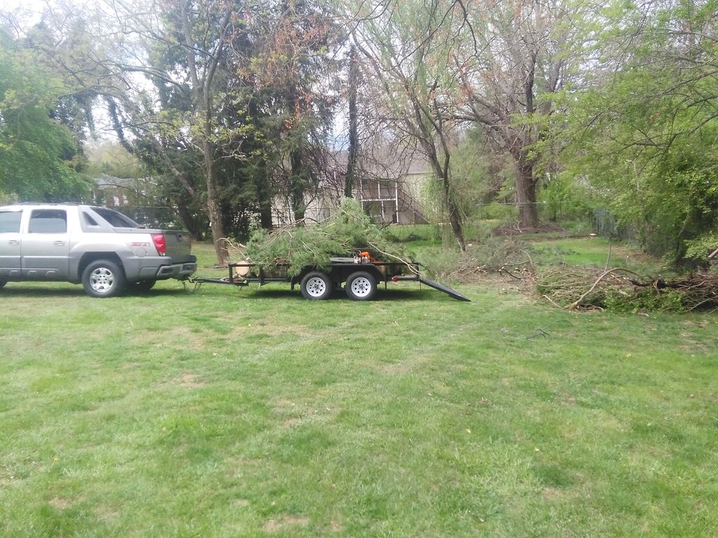 tree removal