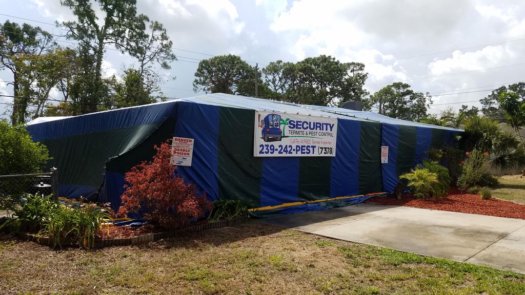 Another quality fumigation for drywood termites. 